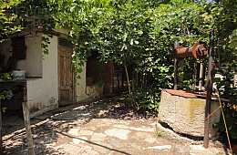 Should I buy a house in the village?