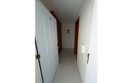 ID 15834 0 Photo 8
