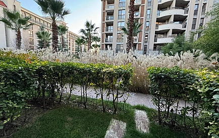 ID 15145 Studio apartment in Cascadas 21 Photo 9