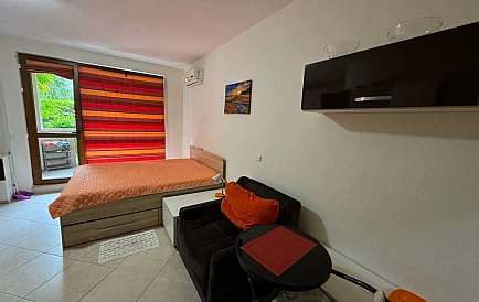 ID 16436 Studio apartment in Cascadas 6 Photo 6
