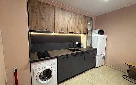 ID 16649 One-bedroom apartment in Karolina Photo 7