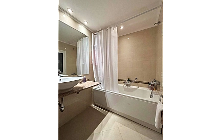 ID 13230 One-bedroom apartment in Downtown Photo 4