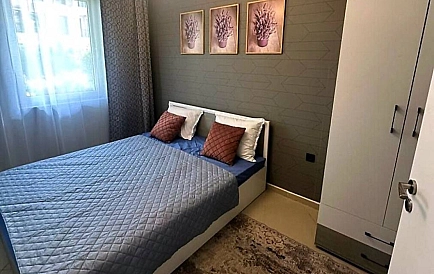 ID 15535 One-bedroom apartment in Domus Extra Photo 3