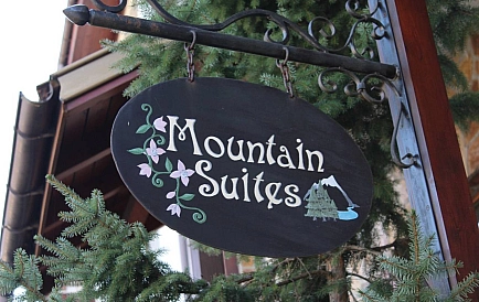 ID 14850 One-bedroom apartment in Mountain Suites Photo 9