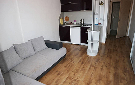 ID 11331 Studio apartment in Sunny View Central Photo 1 