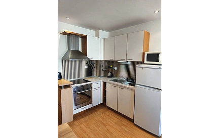 ID 16353 One-bedroom apartment in Garden of Eden Photo 7