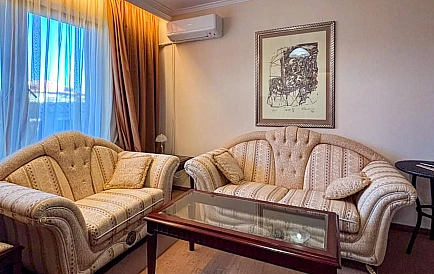 ID 13230 One-bedroom apartment in Downtown Photo 9