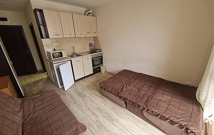 ID 15181 Studio apartment in Cascadas Photo 3