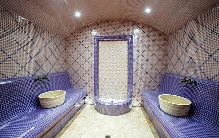 ID 14728 Studio apartment in Izida Palace 2 Photo 10