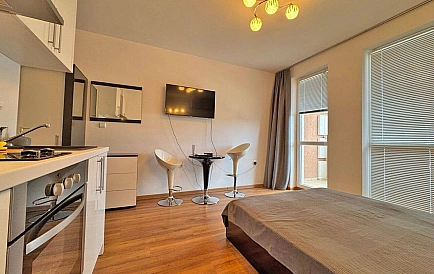 ID 16236 Studio apartment in Casa Rosa Photo 8