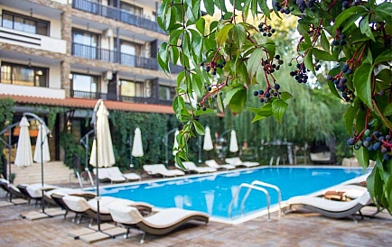 ID 2750 Green Paradise 2 Photo 3