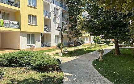 ID 16025 One-bedroom apartment in Sunny Day 3 Photo 6