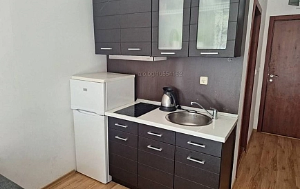 ID 16505 One-bedroom apartment in Siana 4 Photo 9