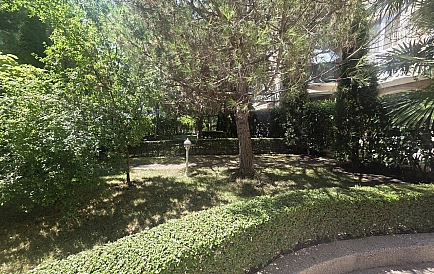 ID 16181 0 Photo 10