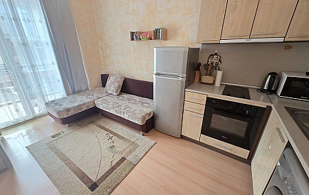 ID 16350 Studio apartment in Sunny Day 5 Photo 8