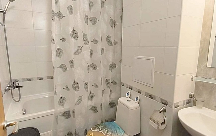 ID 16353 One-bedroom apartment in Garden of Eden Photo 10