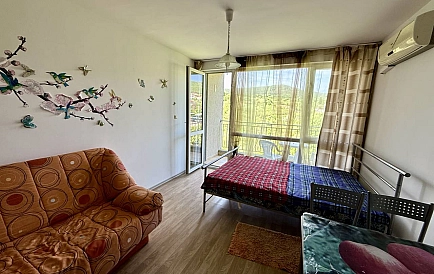 ID 15611 Studio apartment in Butterfly Photo 8