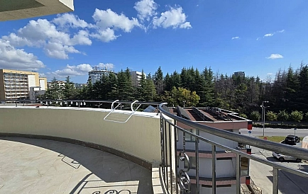 ID 16428 One-bedroom apartment in Avalon Photo 4