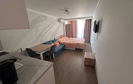 ID 15055 Studio apartment in Solemar Photo 8