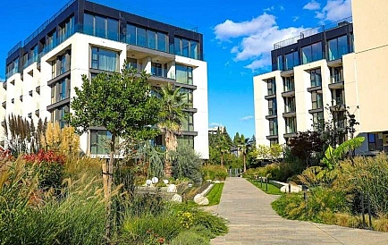 ID 15622 One-bedroom apartment in Azur Photo 6