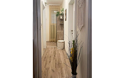 ID 15584 Two-bedroom apartment in Sunny Day 3 Photo 8