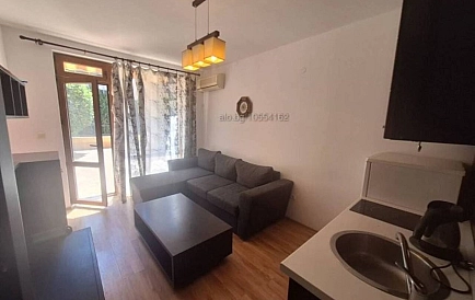 ID 16505 One-bedroom apartment in Siana 4 Photo 2