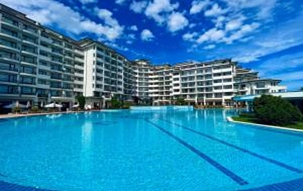 ID 14467 Studio apartment in Emerald Photo 7