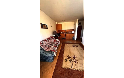 ID 16657 One-bedroom apartment in Barco Del Sol Photo 9