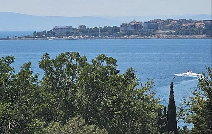 ID 14921 Two-bedroom apartment in Butterfly Photo 5