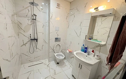ID 15508 One-bedroom apartment in Palm Court Photo 4