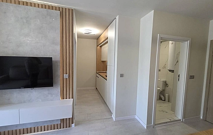 ID 16331 One-bedroom apartment in Domenico Photo 7