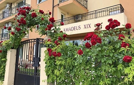 ID 14569 Studio apartment in Amadeus 19 Photo 7