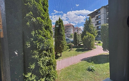 ID 14013 One-bedroom apartment in Alpine Lodge Photo 8