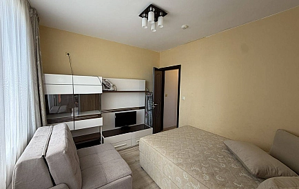 ID 16333 One-bedroom apartment in Rodina Photo 4