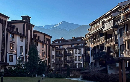ID 13230 One-bedroom apartment in Downtown Photo 6