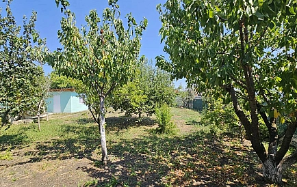 ID 14348 House in Trystikovo Photo 10