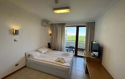 ID 16406 Studio apartment in Emerald Beach Resort Photo 6