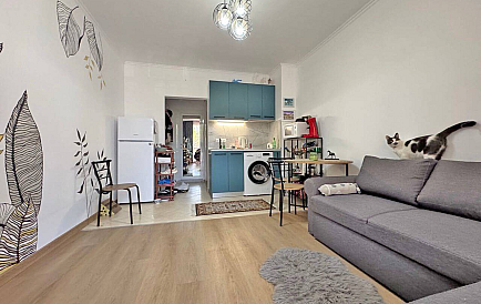 ID 14539 Studio apartment in Topoli Photo 1 