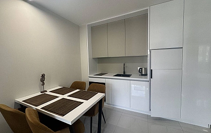 ID 16434 One-bedroom apartment in Emilia Romana Boutique Photo 9