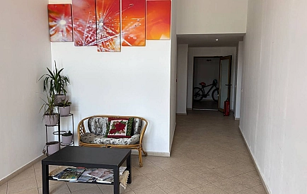 ID 13449 Studio apartment in St. John Park Photo 9