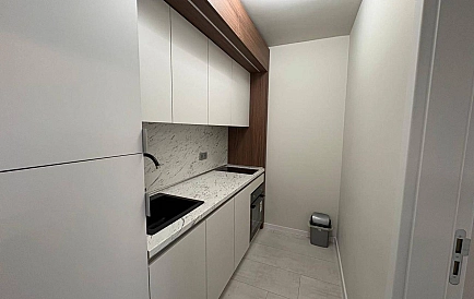 ID 16455 One-bedroom apartment in Domenico Photo 8