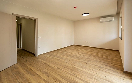 ID 16395 One-bedroom apartment in Emilia Romana City Photo 2