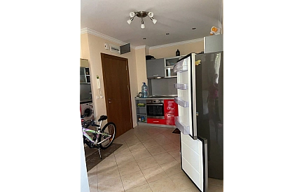 ID 10766 One-bedroom apartment in Santa Marina Photo 6