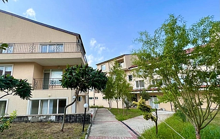 ID 11066 Kosharitsa Photo 6