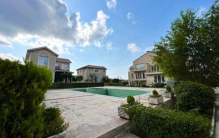 ID 11066 Kosharitsa Photo 8