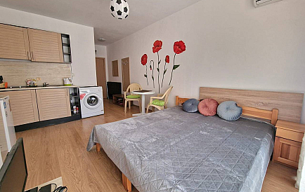 ID 12172 Studio apartment in Sunny View Central Photo 1 