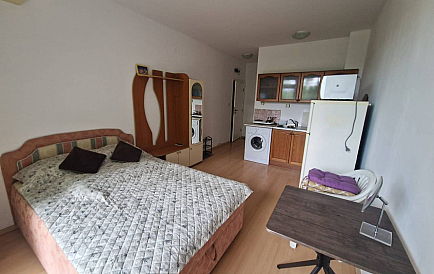 ID 12209 Studio apartment in Sunny Day 4 Photo 1 