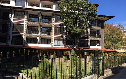 ID 3720 Green Paradise 4 Photo 8