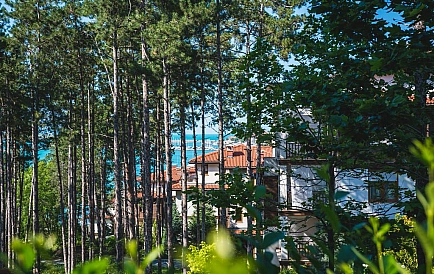 ID 82 Holiday village in Sozopol Photo 8