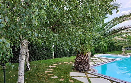 ID 9134 Villa in Eden Park Photo 8